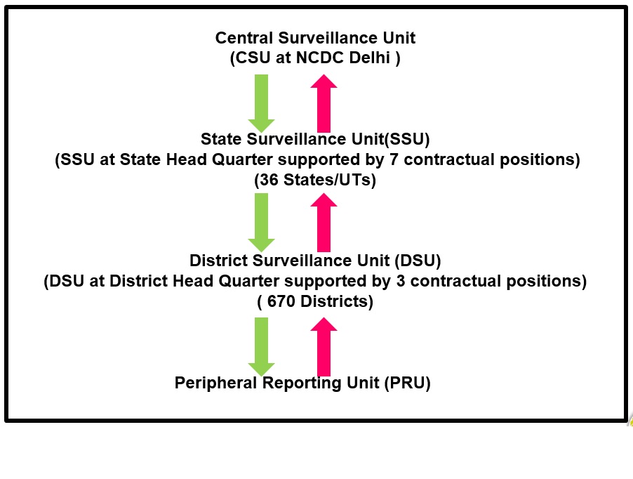 Organization Structure