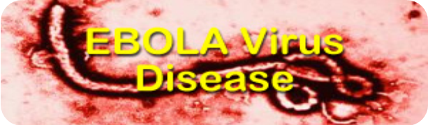 Ebola Virus Disease